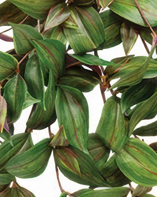 Faux Hanging Vine with Variegated Green and Purple Leaves