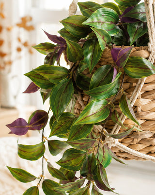 Faux Hanging Vine with Variegated Green and Purple Leaves
