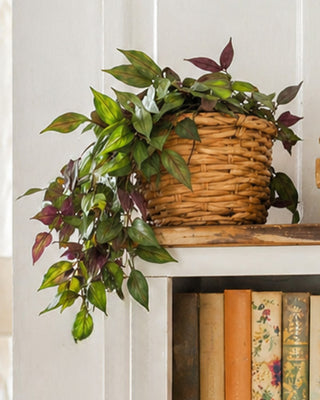 Faux Hanging Vine with Variegated Green and Purple Leaves