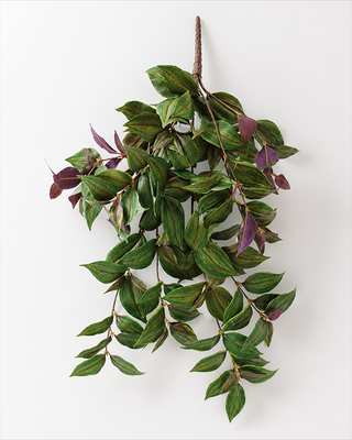 Faux Hanging Vine with Variegated Green and Purple Leaves