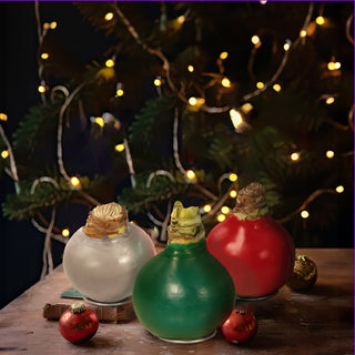 Waxed Amaryllis Live Flowering Bulbs Holiday Collection, Choose Your Set