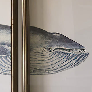 Framed Whale Print Set