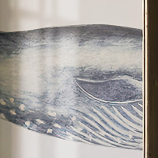 Framed Whale Print Set