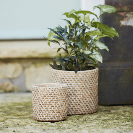 woven concrete planter Cement Planters | Woven Textured Cement Planters