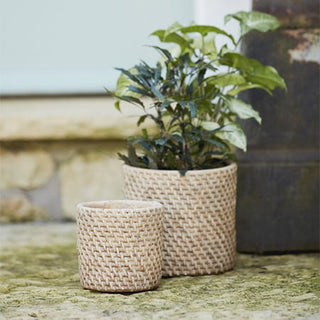Woven Textured Cement Planters, Set of 2