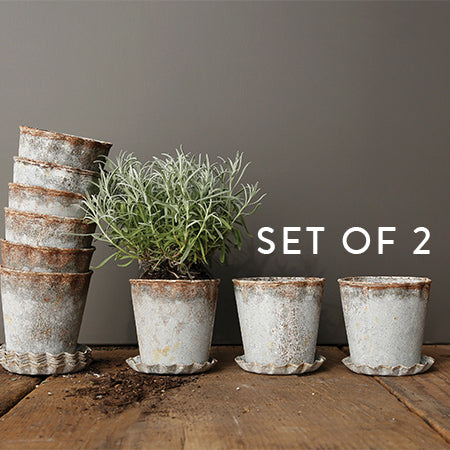 distressed planter pot Distressed Metal Pot with Scalloped Saucer, Set of 2
