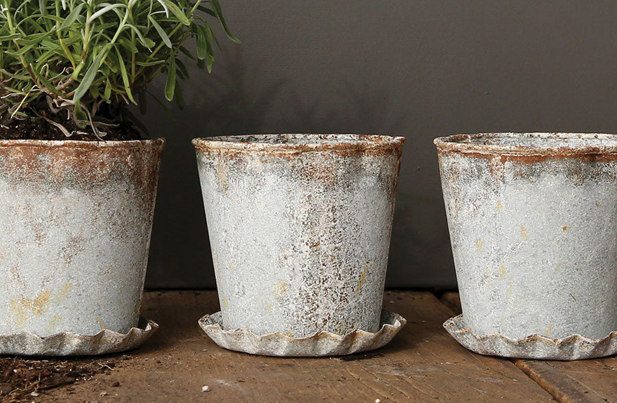 metal plant saucer Distressed Metal Pot with Scalloped Saucer, Set of 2