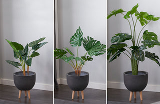Naturalistic Potted Plant, Pick Your Style