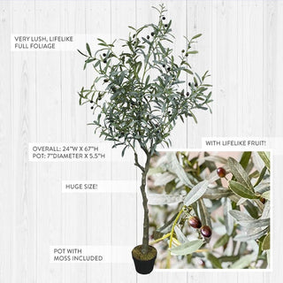 Faux Olive Tree | 67 Inch Premium Lush Potted Olive Tree