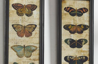 Vintage Inspired Butterfly Calligraphy Wall Art, Set of 2