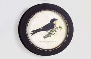Framed Bird Prints, Set of 3