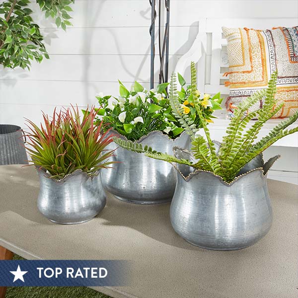 galvanized pots for plants Large Galvanized Planters