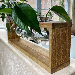 Rustic Wooden Hanging Propagation Station