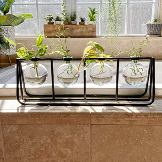 Clear Glass Bud Vases with Metal Rack