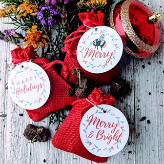 wildflower seed balls Sachet gift filled with wildflower seed balls