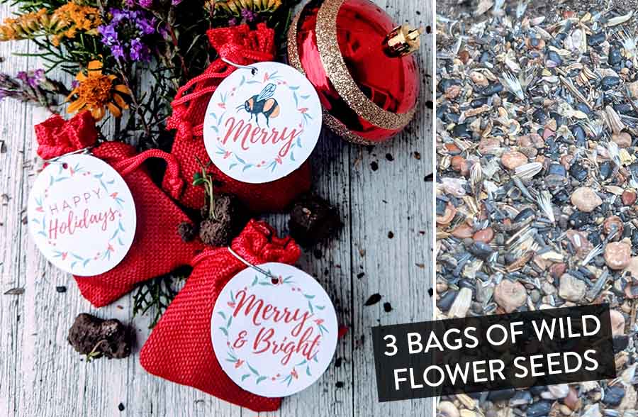 bags of wild flower seeds Sachet gift filled with wildflower seed balls