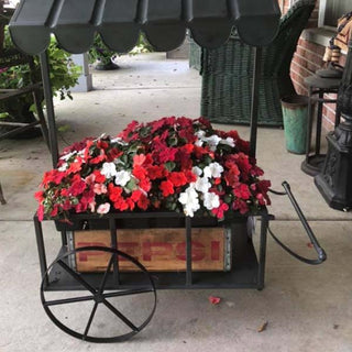 Farmhouse Iron Flower Cart with Roof