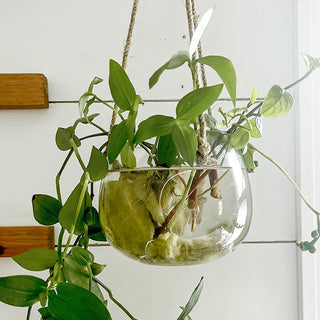 hanging jute planter Glass Hanging Planter with Jute Rope