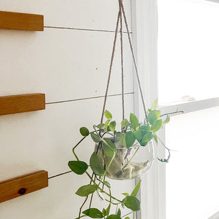 hanging glass planter with rope Glass Hanging Planter with Jute Rope