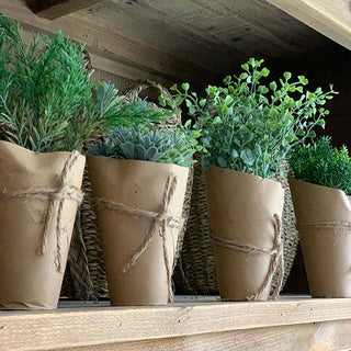 Faux Plants in Paper Wrapped Pots, Set of 4