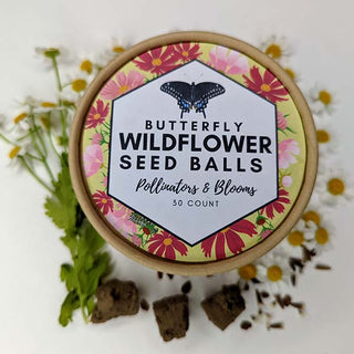 Wildflower Seed Balls in Kraft Pot | Made in USA