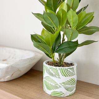 Faux Evergreen Plant with Decorative Pot