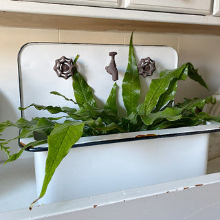 Chippy Sink Wall Planters, Set of 2