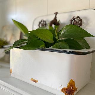 Chippy Sink Wall Planters, Set of 2