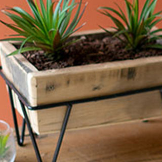 Recycled Wood Planters on Iron Bases, Set of 3