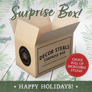 Holiday Surprise Box - On your mark, get set...GO!