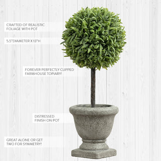 Lifelike Myrtle Topiary with Urn