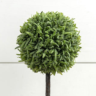 Lifelike Myrtle Topiary with Urn