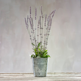 Realistic Tall Lavender Bunch with Galvanized Planter