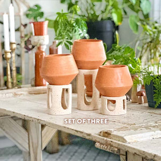 Clay Pot Planters with Speckled Stands, Set of 3