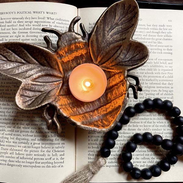 Animal Trinket Dish, Pick Your Style Decor Steals