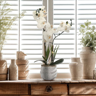 faux orchid plant in pot Potted Faux Orchid