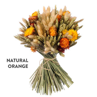 DIY Dried Floral Bouquet From the Fields of Holland, Pick Your Color