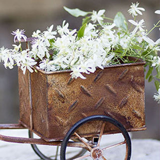 Delivery Trike Planter