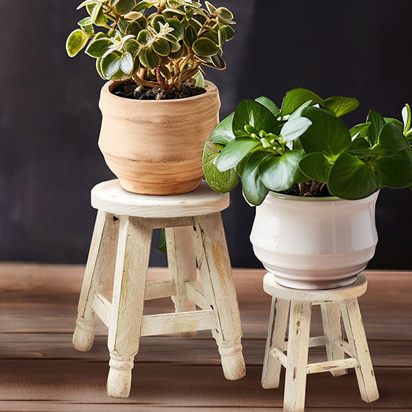 Whitewashed Riser Stools - Decor Steals