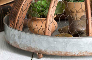 Round Galvanized Tray with Chicken Wire Cloche