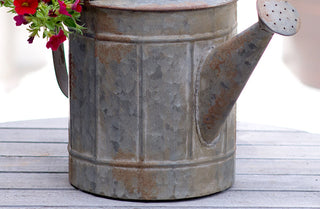 Galvanized Metal Antique Decorative Watering Can