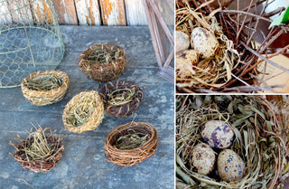 Natural Quail Bird Nests, Set Of 6
