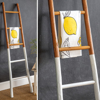 Decorative Two-Tone Wooden Display Ladder