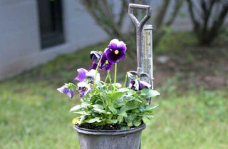Distressed Pail on Stand with Rain Gauge