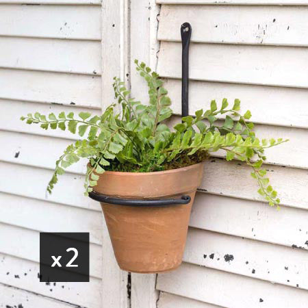 fern plant hanger Forged Plant Hanger with Terra Cotta Pot