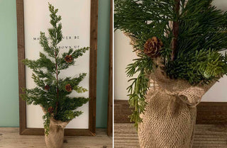 Pine Tree With Burlap Sack, Pick Your Size