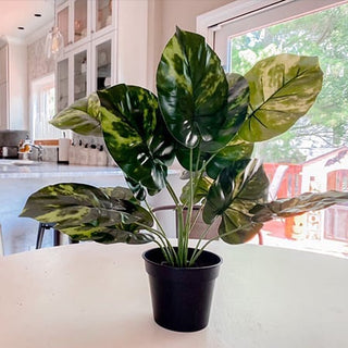 faux potted monstera plant Faux Potted Yellow Variegated Monstera