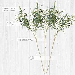 36 Inch Olive Stems, Set of 3