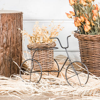 Willow Basket Bicycle Planter