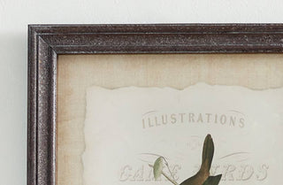 Wooden Framed Bird Artwork  Set of 2